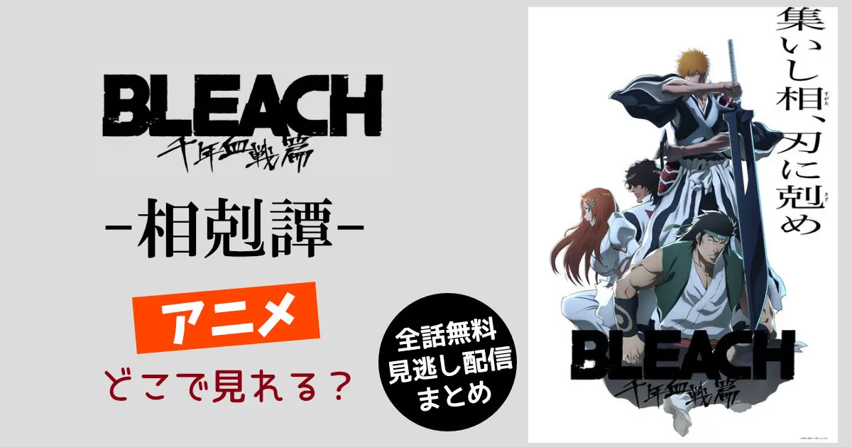 BLEACH/ブリーチ/千年血戦篇-相剋譚-【DVD】全12巻 セット 【公式通販】